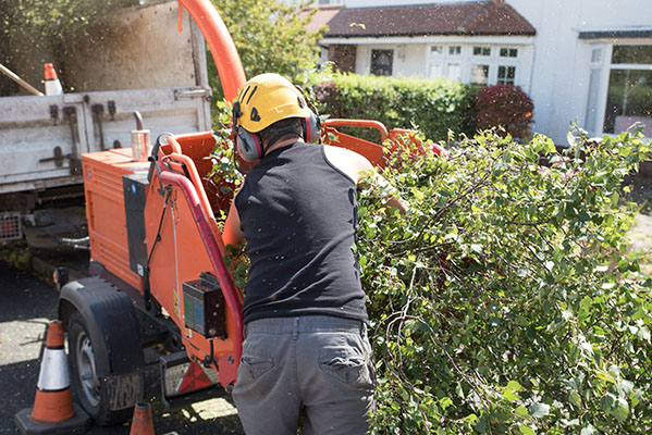 tree and shrub chipping service